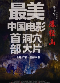 弟弟：难以忍受的品味导演